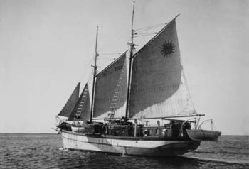 Burja