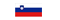Slovenian